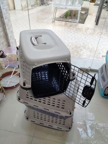 cat &dog carrier box