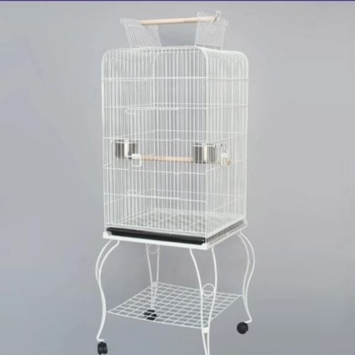 birds cages