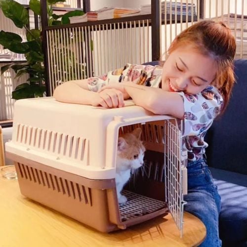 cat carrier box approved aripot