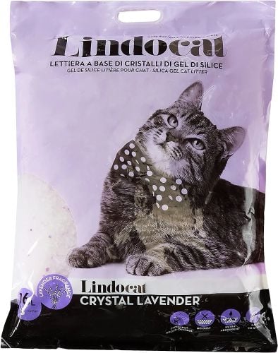 cat letter 10 lt