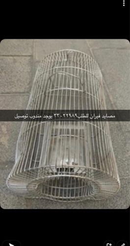 mouse trap For sale
