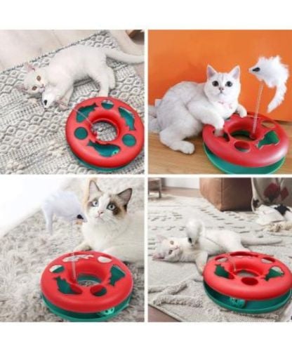 cat toy