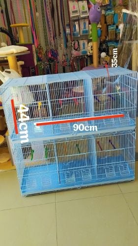 birds cages