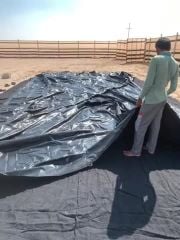 بيت شعر 13 في 6 مع طربال