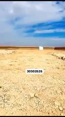 تور مخطط 