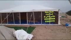 بيتية