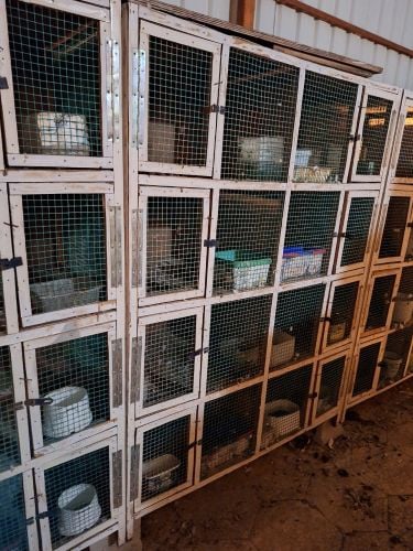 Cages for sale