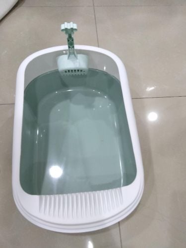 cat letter box new scope free