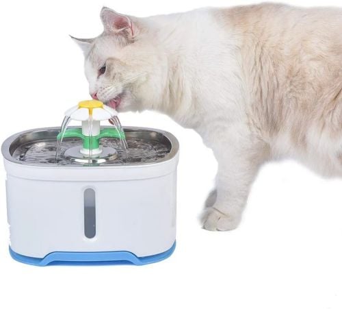 cat water fountain
