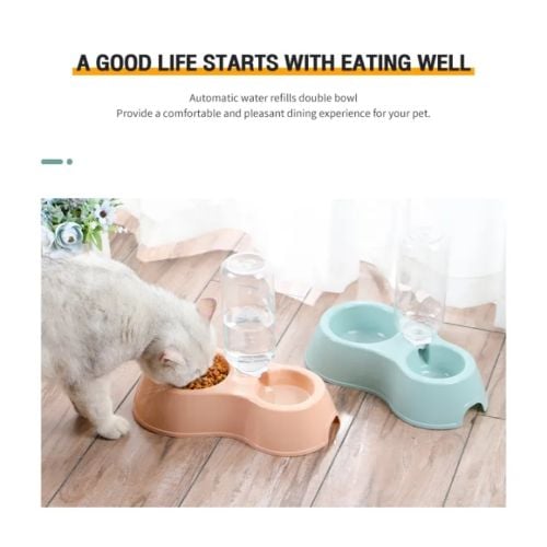 cat dog  bowls new