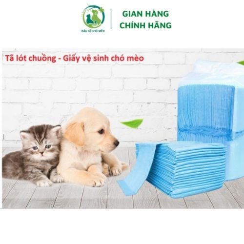 cat trening ped 40 pics