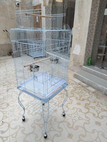 birds cages