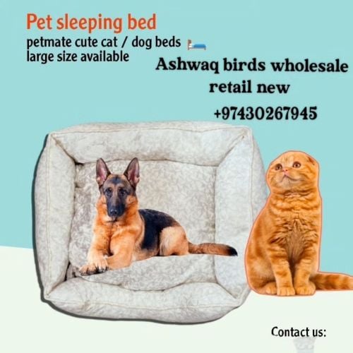 cat & dog beds