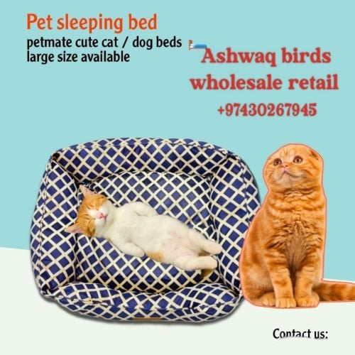 cat dog bowls soft
