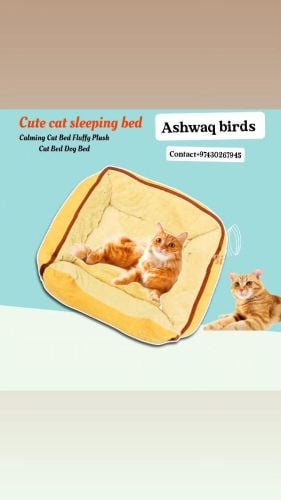 cat beds soft