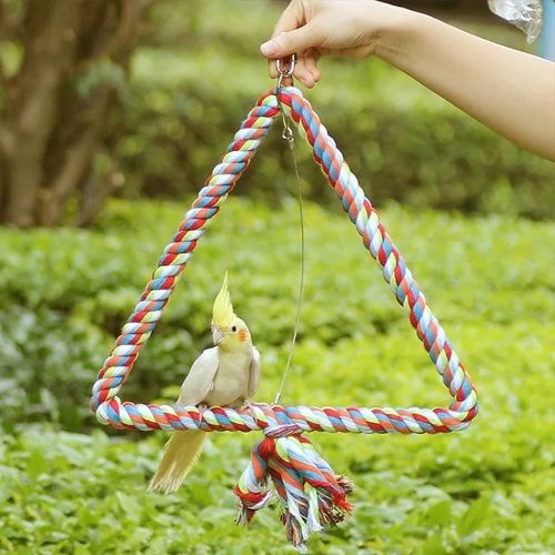 bird toy