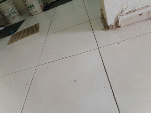 أعمال البلاط