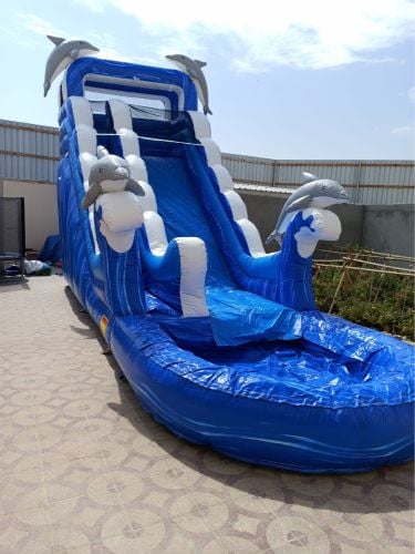 نطاطية الدولفين ز مع بركة سباحة