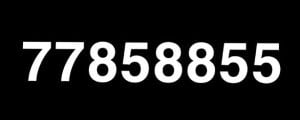 Unique Number 77858855 for sale