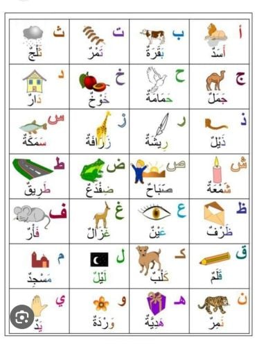 ميس صافية