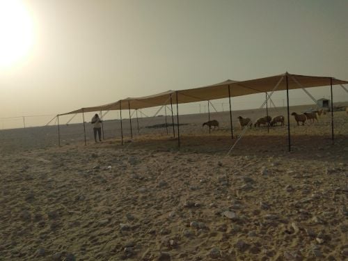 الفرج 