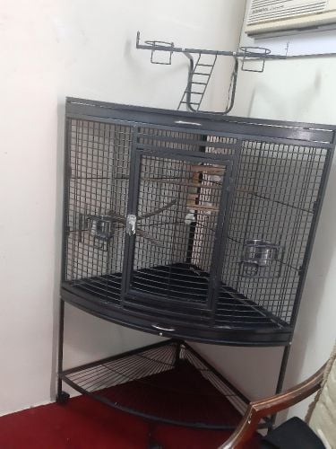 big parrot cage