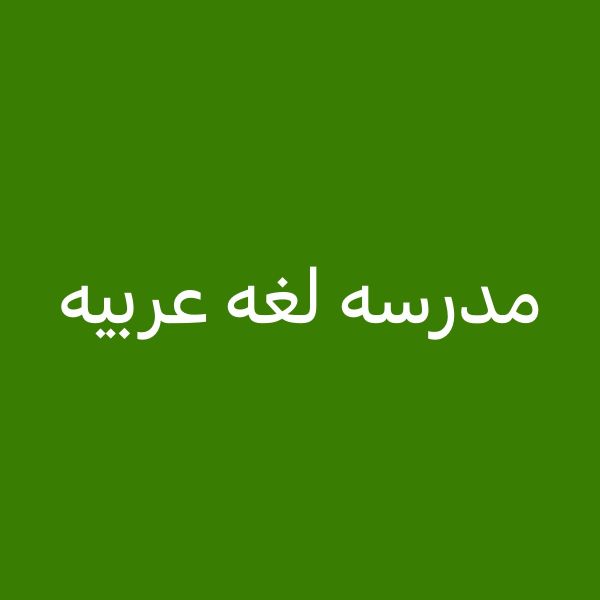 استاذه لغه عربيه