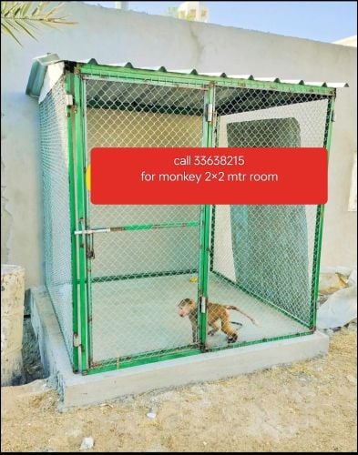 Monkey  room