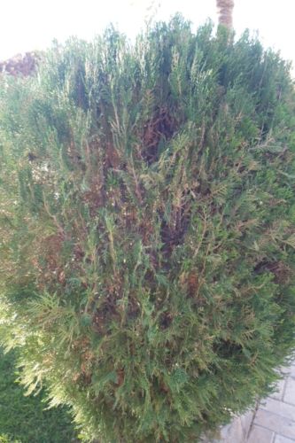 مدرس   القرآن