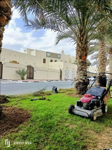 صيانه وترتيب الحديقه والمزارع٥