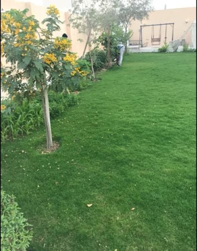 منسق حديق