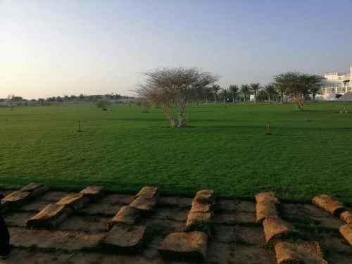لزراعت العشب الأخضر والورود والاش