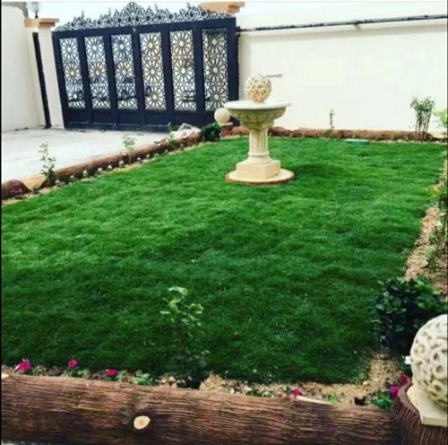 مهندس زراعى لتنسيق الحدائق