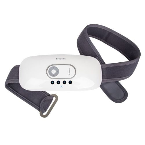 Electric Waist Massager