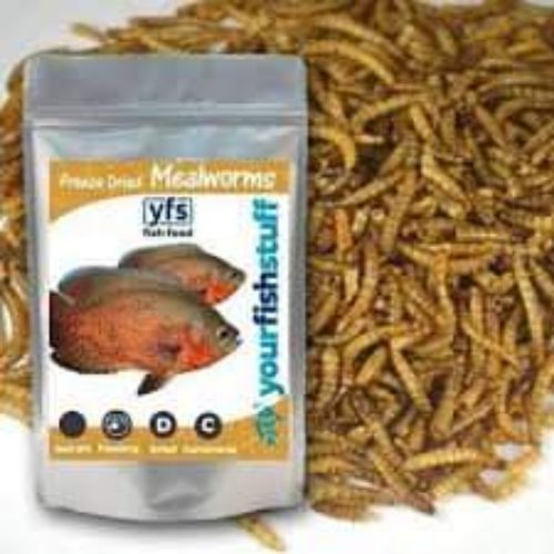 سوبر  جانبو  عتل