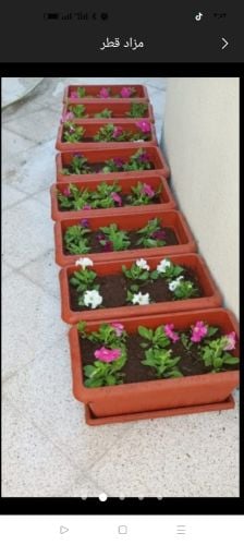 ديكورات حدائق