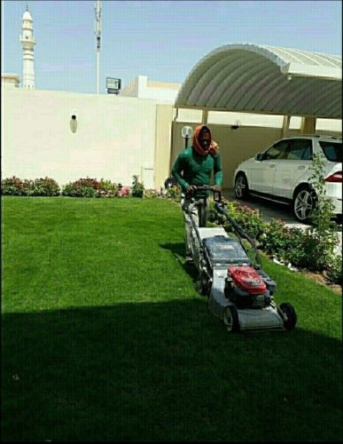 مزارع 