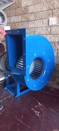 Exast fan and kitchen hood