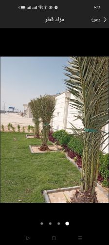 تنسيق وزرعه الحديقه وتربيتها