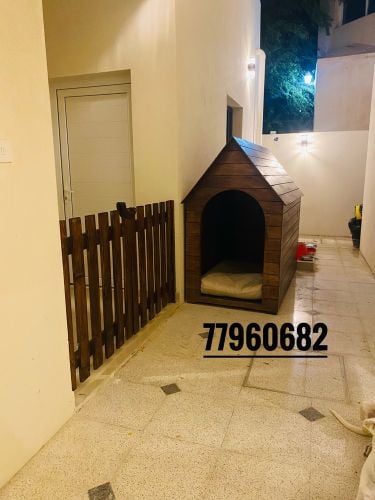 Dog house 