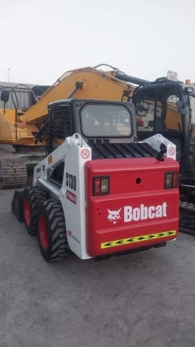 bobcat