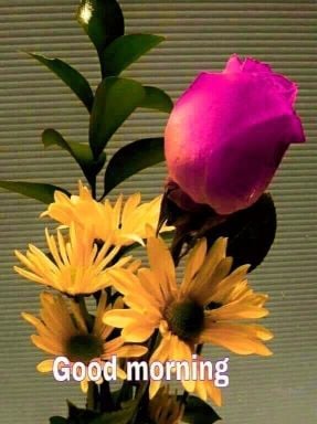 من أراد فتح مطعم