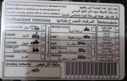 أبو سعيد