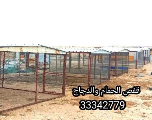 قفص الحمام