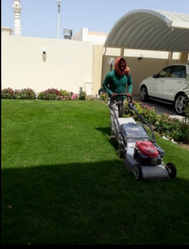 قص وتنظيف وترتيب الحدائق