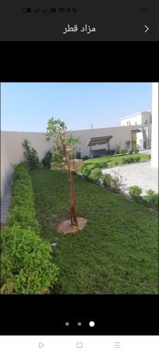 صيانه الحديقه وتربيتها