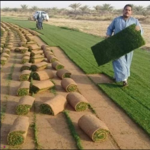 مزراع ومنسق الحدايق 