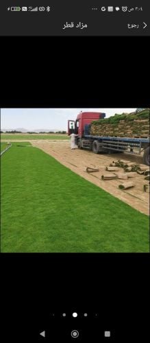 عشب طبيعي وصناعى للبيع