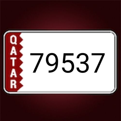 رقمين مميزين ٣٠الف قابل