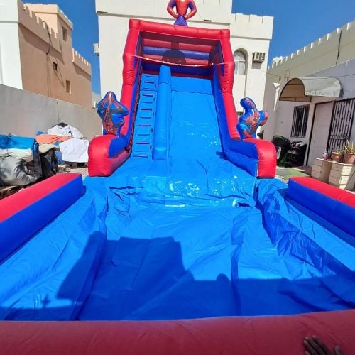 نطاطيات نايس بيرد